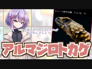 ひとくち動物図鑑　#44　アルマジロトカゲ　[VOICEROID解説]