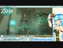 【実況】ゼルダの伝説TotKやる！【14】