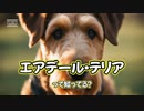 エアデール・テリアって知ってる？