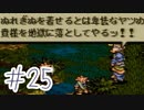 【実況】歴史のテスト過去最高32点な私のタクティクスオウガ【part25】