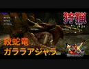 【実況】ぼっちハンターが行く！モンスターハンターXX第59回