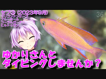 【セブ③(フィリピン)】ゆかりさんとダイビングしませんか？