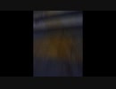 100kmウォーキング　part005