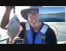 【３時ニコ生録画】2023/09/28 02:00 ドライブ配信