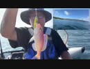 【３時ニコ生録画】2023/09/28 08:00 カヤック釣り＆ドライブ配信