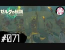 【ティアキン＃71】凡人が行く龍泪旅