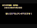 紅子の宇宙船 －音声版－ 2023年09月28日