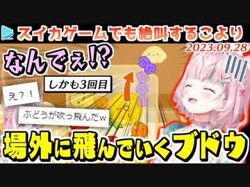 【スイカゲーム】理不尽なブドウロケットに何度も刺される博衣こより