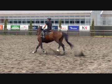 コイさん！大会前練習