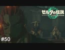 とりあえず悪巧み考えてることは分かる表情　ゼルダの伝説 ティアーズオブザキングダム　実況　#50