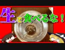 【ゆっくり解説】アニサキス症について解説！