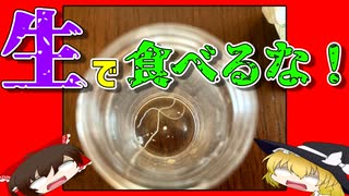 【ゆっくり解説】アニサキス症について解説！