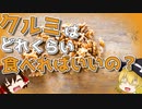 【ゆっくり解説】ナッツの中でカロリーが多いクルミを1日に食べる量はどれくらい？