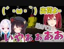 肝試し中に出荷されるアンジュ