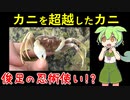 カニを超越したカニに攻撃されてしまった【VOICEVOX解説】