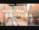 叡山電鉄　紅葉のトンネル徐行運転　出町柳から鞍馬まで。