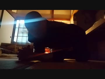 第4期カツドンチャンネル　土地を探し始めたカツドン氏✨□✨＋懺悔のポーズ□_♂️