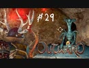 【outward】拾ったキーアイテムはすぐに使おう！【part29】