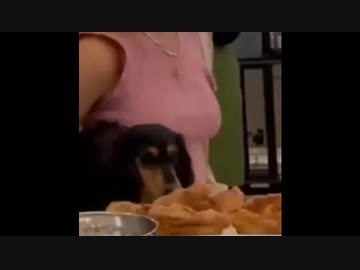 世界の衝撃的映像集Part119