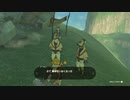 【Switch】リンクがゾナウとゼルダ探し旅【プレイ動画】part51