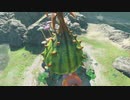 【Switch】リンクがゾナウとゼルダ探し旅【プレイ動画】part53