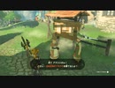 【Switch】リンクがゾナウとゼルダ探し旅【プレイ動画】part54