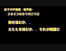 紅子の宇宙船 －音声版－ 2023年09月29日