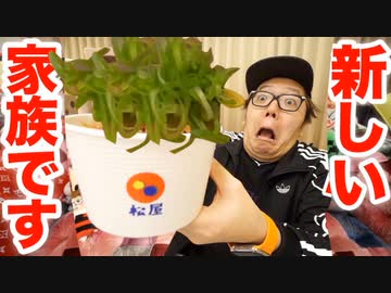 【ご報告】家族が増えました！ネギたっぷりプレミアム旨辛ネギたま牛めし飼います！【ねぎ leek】