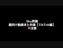 【VOICEVOX】ホモと見るSky界隈の腐向け動画まとめ集【TikTok編】