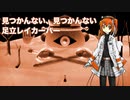 見つかんない、見つかんない（きくお）足立レイカバー