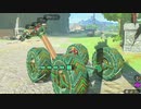 【ティアキン】依頼を受けて、コログパーティをしてみた【ドリカラ】【ボイスピ実況,ゼルダの伝説ティアーズオブザキングダム,TotK,ゼル伝】