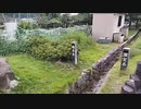 【全長1200キロ】にちなんban太郎　福岡→東京徒歩の旅！【43日目】滋賀県・彦根市～（2023年09月27日）