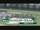 【競馬】2023年 第27回シリウスステークス(GⅢ)【ハギノアレグリアス / 岩田望来】