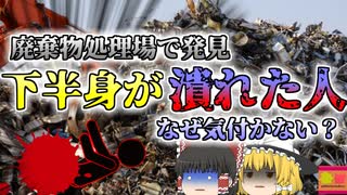 【2001年】「何か引っかかったかもしれないけどまぁいいか」→同僚がキャタピラに轢かれて潰れていた『産業廃棄物処理場重機接触事故』【ゆっくり解説】