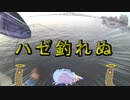 気まぐれ釣り日誌　Part 7 「ハゼ釣れぬ」　【VOICEROID】