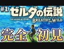 6年前のゲームってマジ!_【ゼルダの伝説 ブレス オブ ザ ワイルド】#1