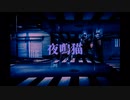 夜鳴猫/夜鳴猫（Arr. by さんだるうっど）