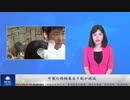 中国の婚姻届出数が激減