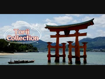 Torii Collection