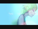 Tell Me Why feat. 初音ミク / dk-sounds