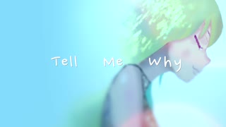 Tell Me Why feat. 初音ミク / dk-sounds