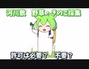 山菜・きのこ狩り解説　～国有河川敷、無許可で採っていいの？～