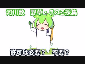 山菜・きのこ狩り解説　～国有河川敷、無許可で採っていいの？～