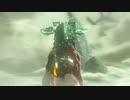 【実況】ハイラルソードTK　その44