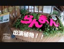 【第186回】らんまん（植物）と巣鴨と第2形態