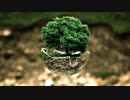 【トラック提供】Optimum Balance