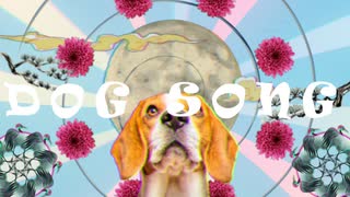 DOG SONG / flower