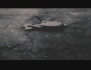 last dive