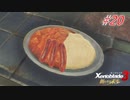 【ハードレベル実況】ゼノブレファンが新たなる未来を初見プレイ #20