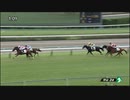 ジューンブレア　中山・2歳新馬戦　2023年10月1日